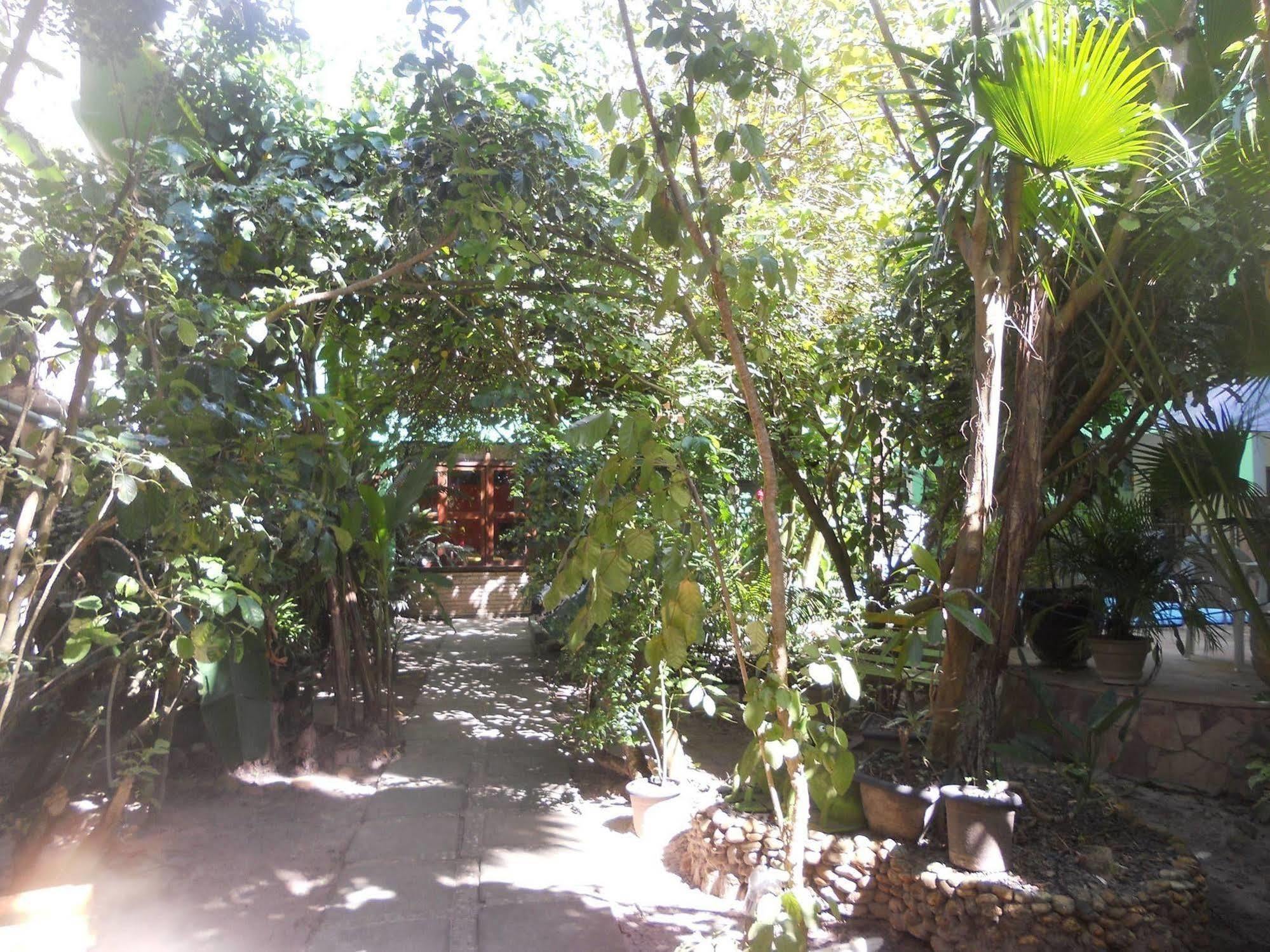 Coqueiro Do Caitá Inn Morro de São Paulo